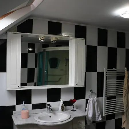 Amelia House Pensjonat Făgăraş
