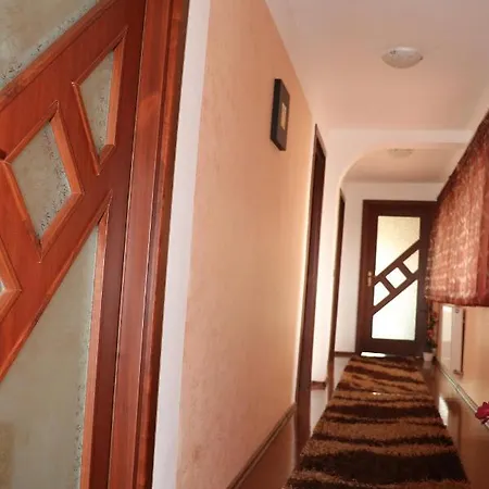 Amelia House Pensjonat Făgăraş