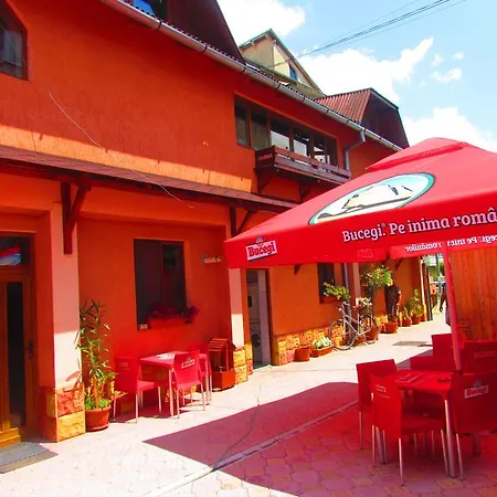 Amelia House Pensjonat Făgăraş